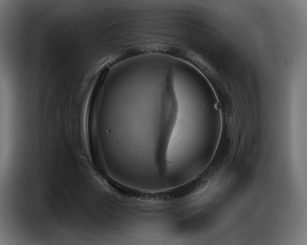 X0000086750729200704131150
