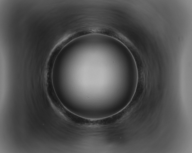 X0000086750730200704131150