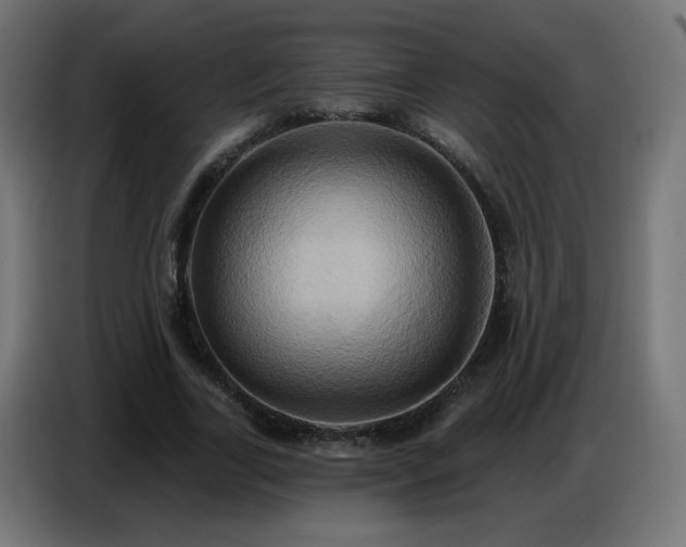 X0000086750731200704131150