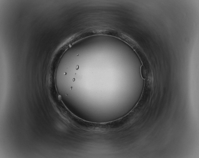 X0000086750732200704131150