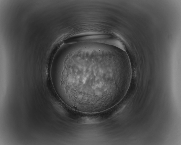 X0000086750733200704131150