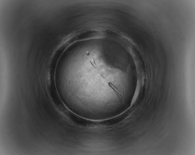 X0000086750734200704131150