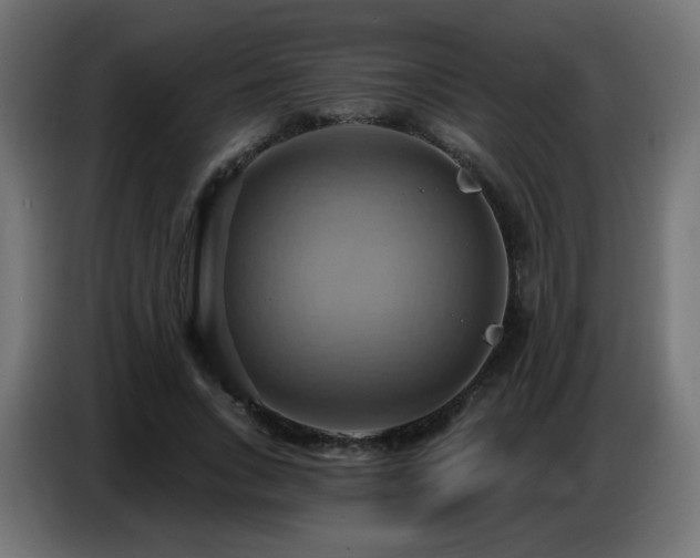 X0000086750735200704131150