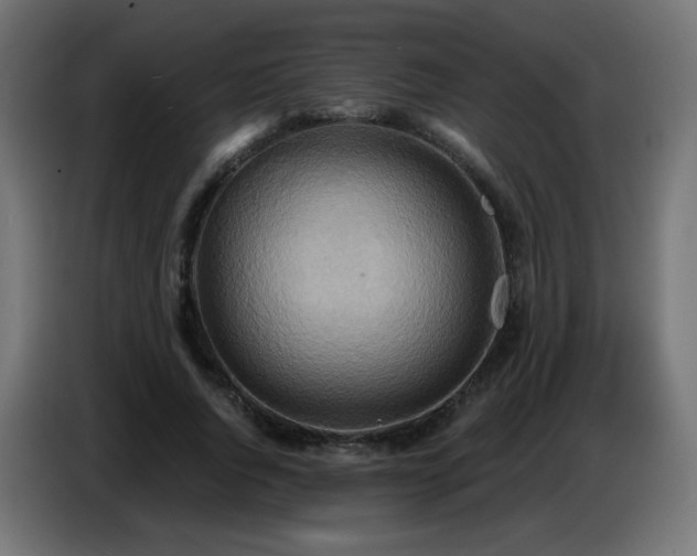 X0000086750736200704131150