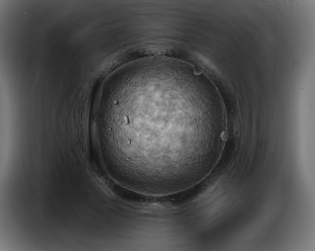 X0000086750737200704131150