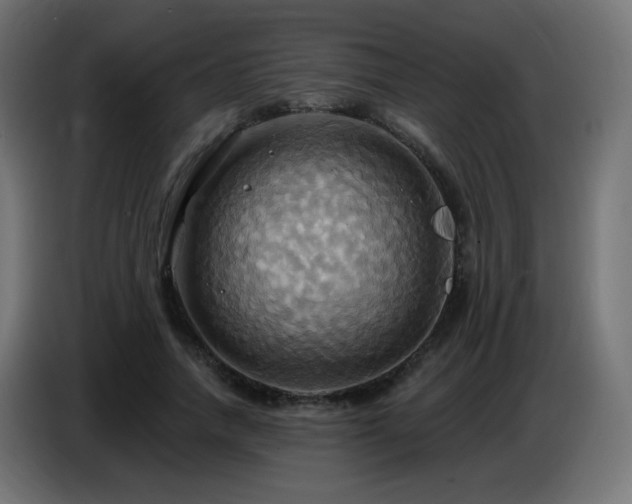 X0000086750738200704131150