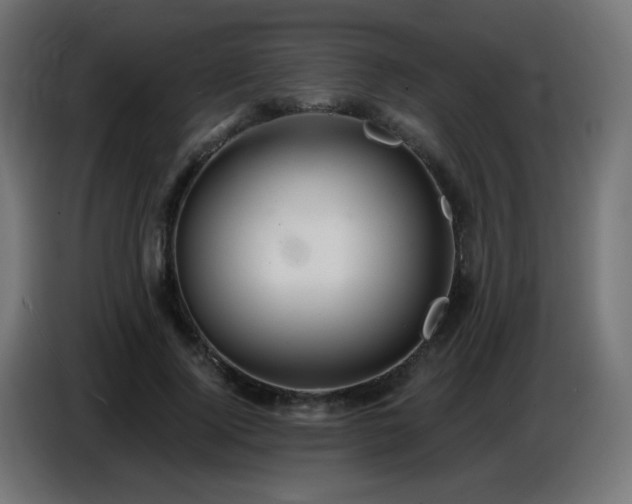 X0000086750740200704131150