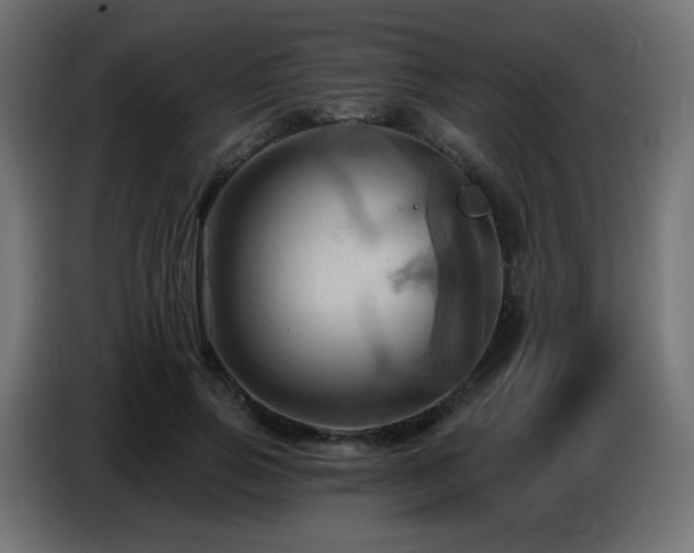 X0000086750741200704131150