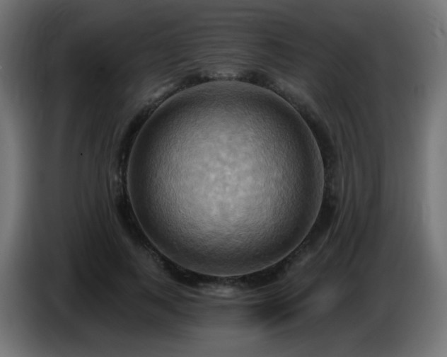 X0000086750743200704131150