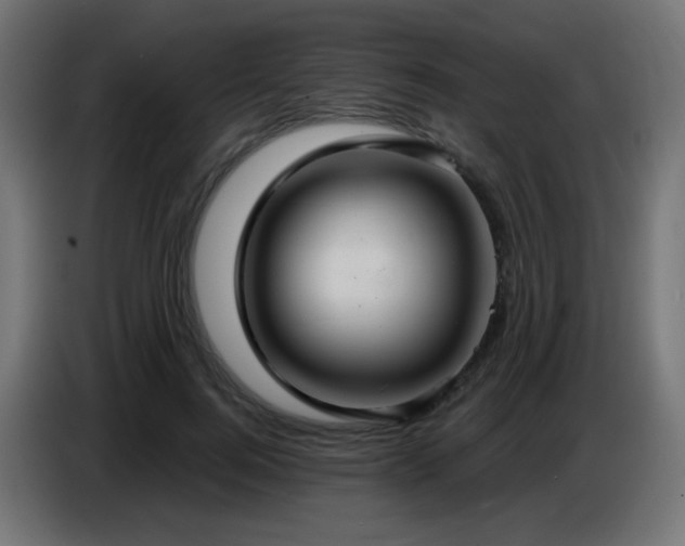 X0000086750744200704131150