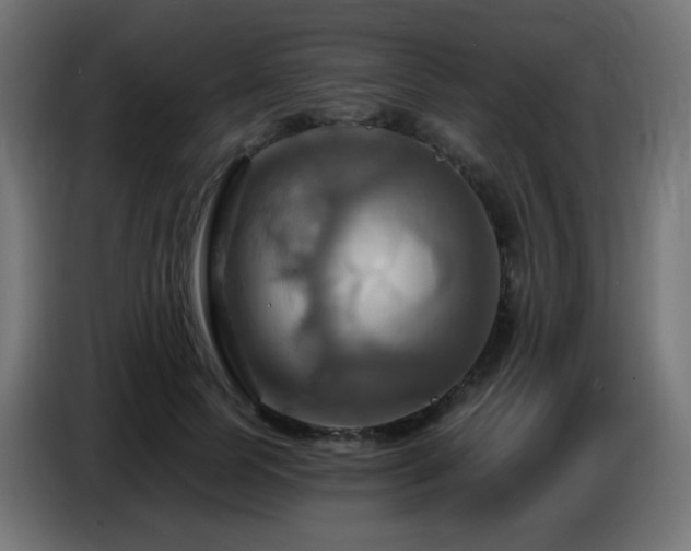 X0000086750745200704131150