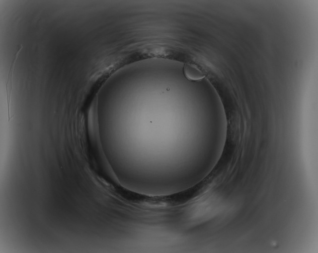 X0000086750747200704131150