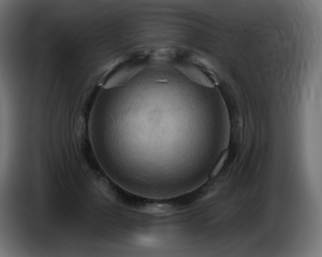 X0000086750748200704131150