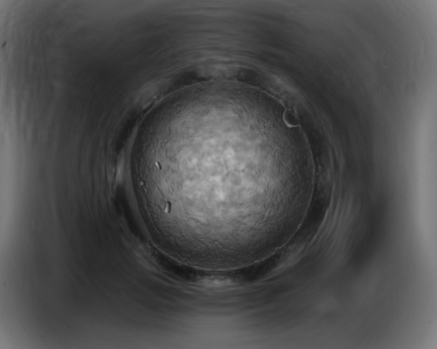X0000086750749200704131150