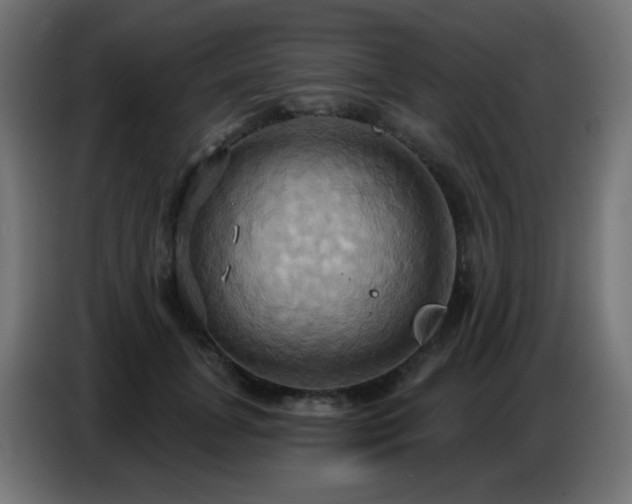 X0000086750751200704131150