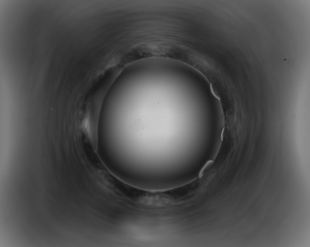 X0000086750752200704131151
