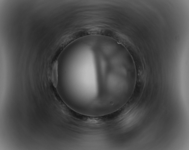 X0000086750753200704131151