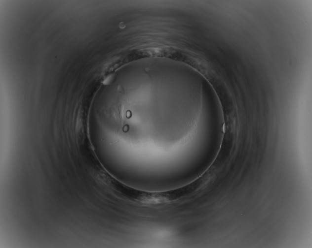X0000086750754200704131151