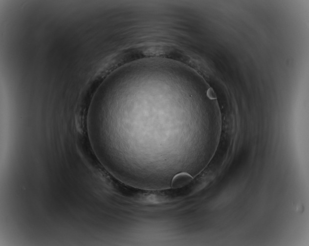 X0000086750755200704131151