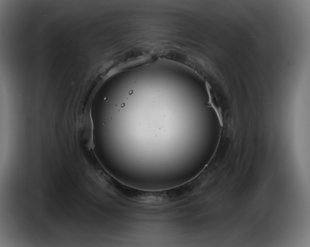 X0000086750756200704131151