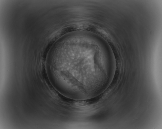 X0000086750757200704131151