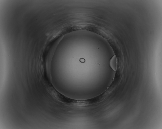 X0000086750758200704131151