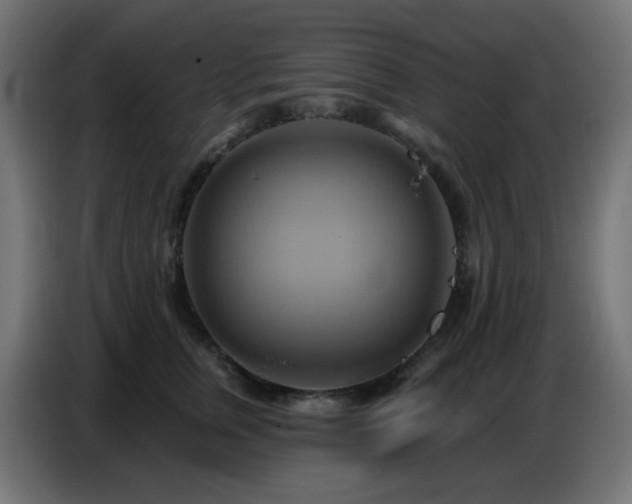 X0000086750759200704131151