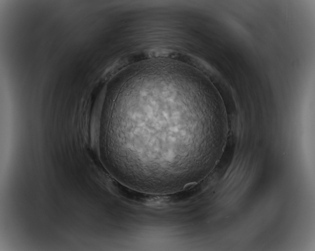 X0000086750761200704131151