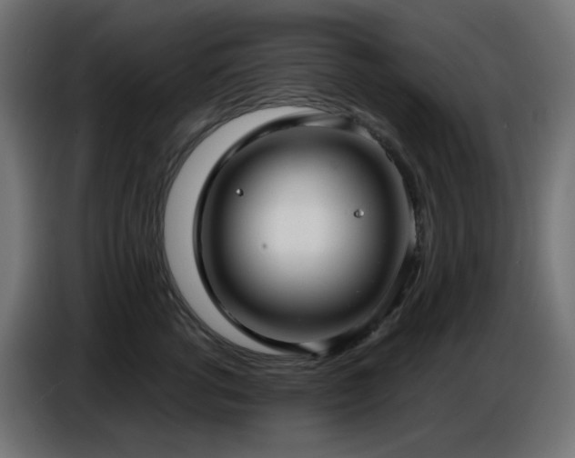 X0000086750762200704131151