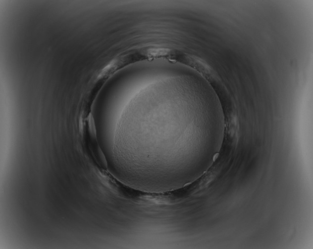 X0000086750763200704131151