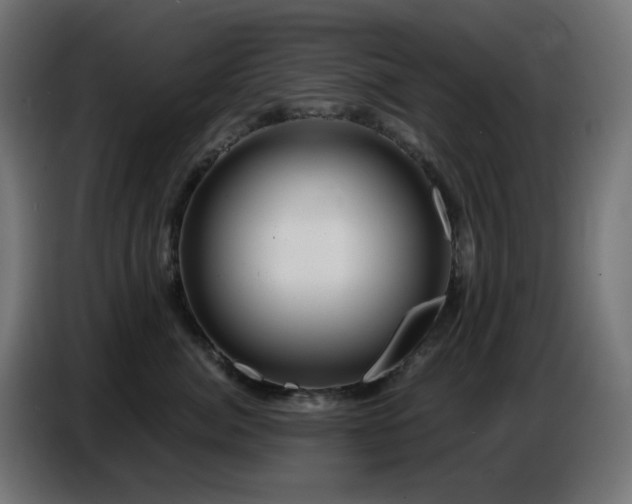 X0000086750764200704131151