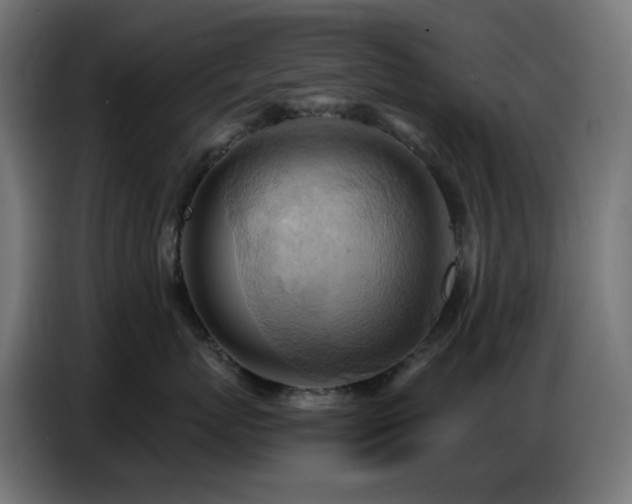 X0000086750767200704131151