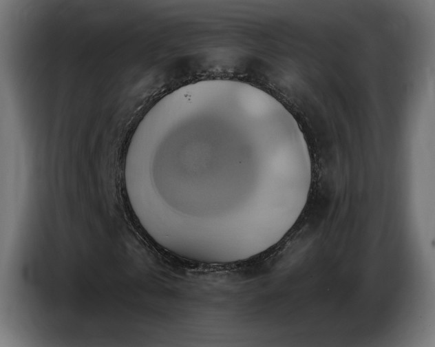 X0000086750769200704131150
