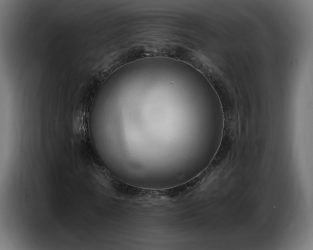 X0000086750770200704131150