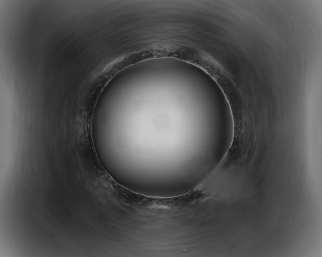 X0000086750773200704131150