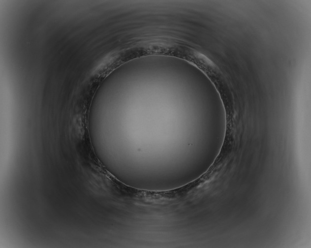 X0000086750774200704131150