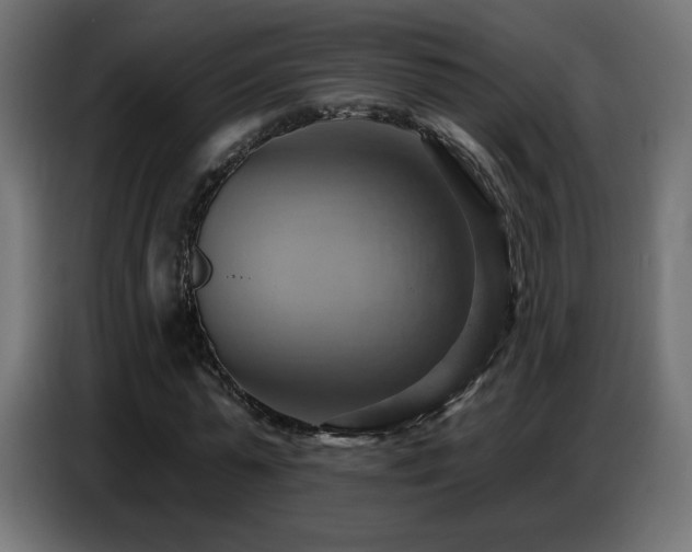 X0000086750775200704131150