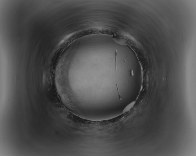 X0000086750776200704131150