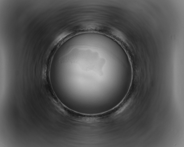 X0000086750778200704131150