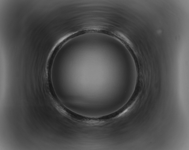 X0000086750779200704131150