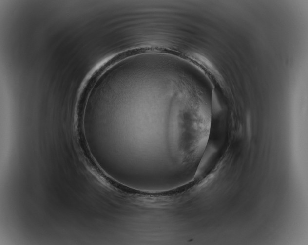 X0000086750780200704131150