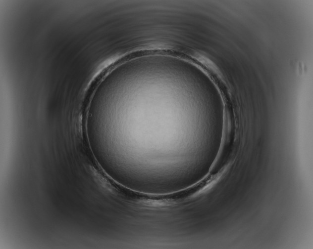 X0000086750781200704131150