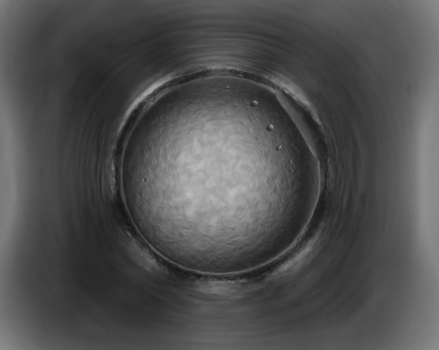 X0000086750782200704131150