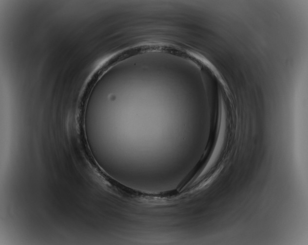 X0000086750783200704131150