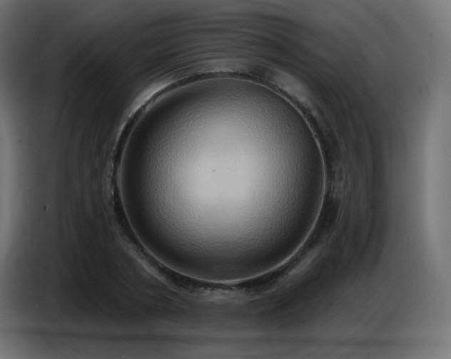 X0000086750786200704131150