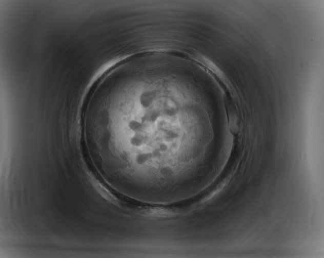 X0000086750787200704131150