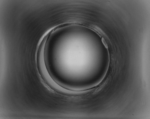 X0000086750788200704131150