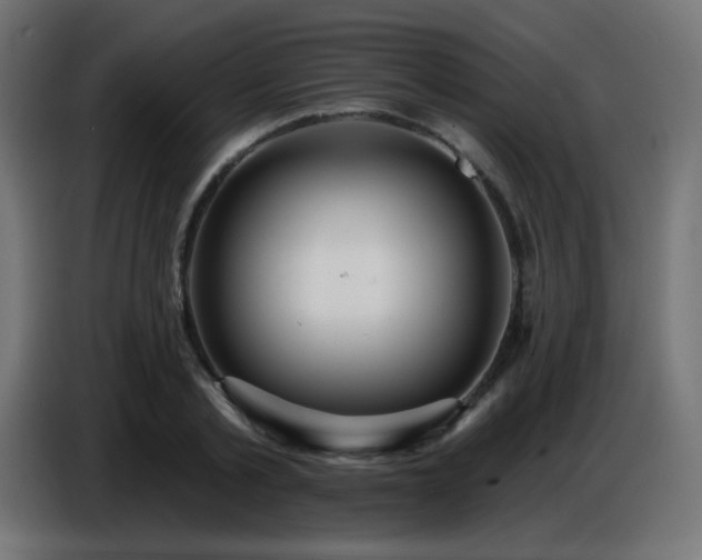 X0000086750789200704131150