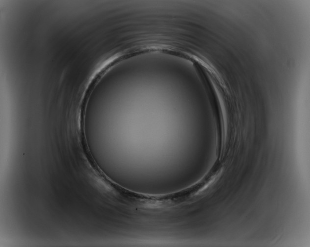 X0000086750790200704131150