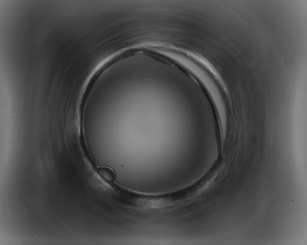 X0000086750791200704131150